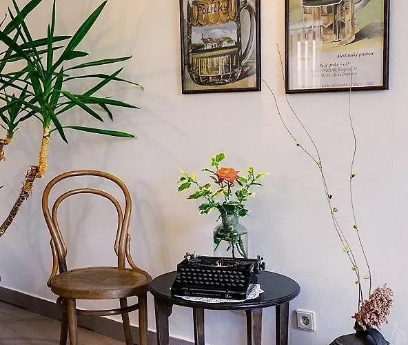 Apartment Antoninska *